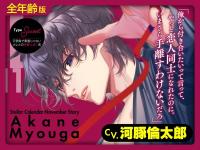 【全年齢版】Stellar Calendar（ステラ・カレンダー）～November Story～【出演声優：河豚倫太郎】