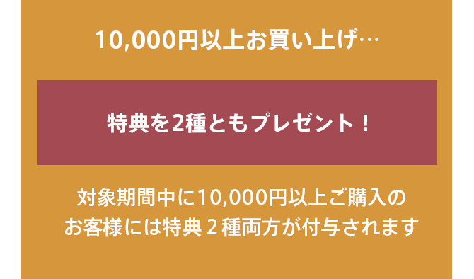 10,000円以上お買い上げ…