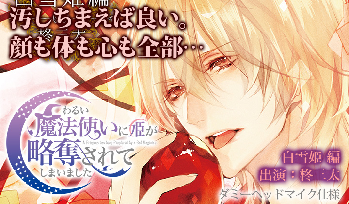 「わるまほ」わるい魔法使いに姫が略奪されてしまいましたシリーズ