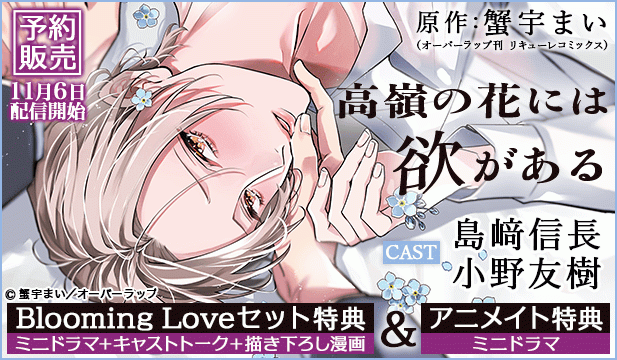 【予約用】高嶺の花には欲がある【出演声優:島﨑信長 小野友樹】